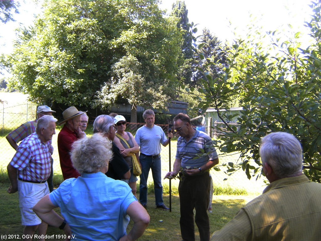 Sommerschnittkurs 2012